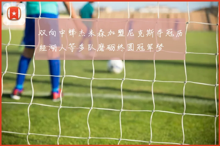 双向中锋杰米森加盟尼克斯夺冠历经湖人等多队磨砺终圆冠军梦